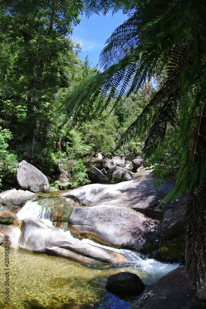 Fototapeta premium Creek