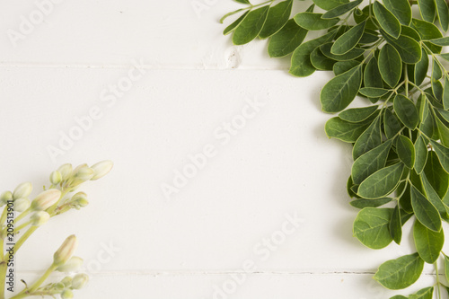 Fresh moringa leaves- Moringa Oleifera
