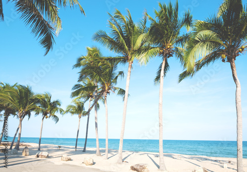 Beautiful landscape of coconut palm tree on tropical beach  seascape  in summer. Summer background concept.