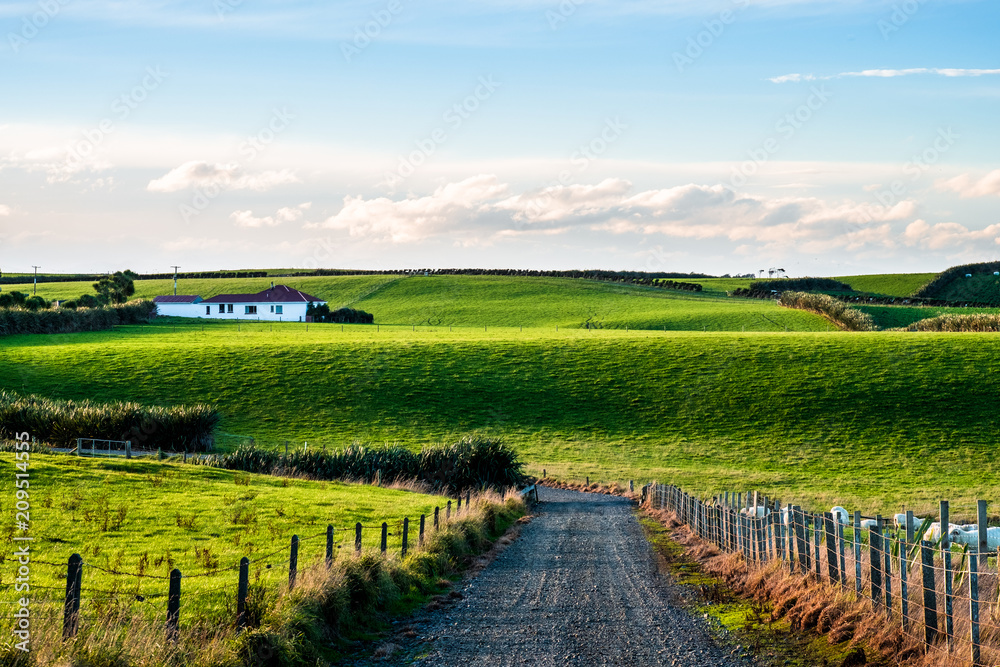 Fototapeta premium Beautiful scene of agriculture in a rural area at sunset. Green grassland, house, and cloudy sky.