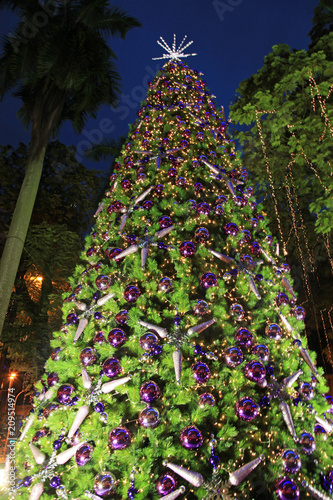 Canvas Print Christmas Tree