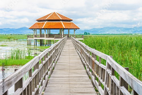 Wooden walkway leads to island pavilions in freshwater marsh. They are at Bueng Bua Sam Roi Yot National Park, Prachuap Khiri Khan, Thailand, Southeast Asia. photo