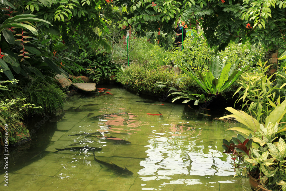 Naklejka premium Butterfly Garden - Penang