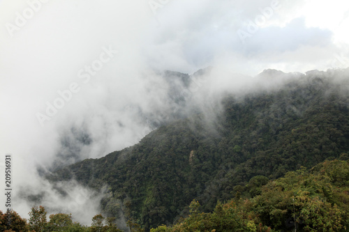 Brinchang Mountain, Cameron Highlands, Malaysia