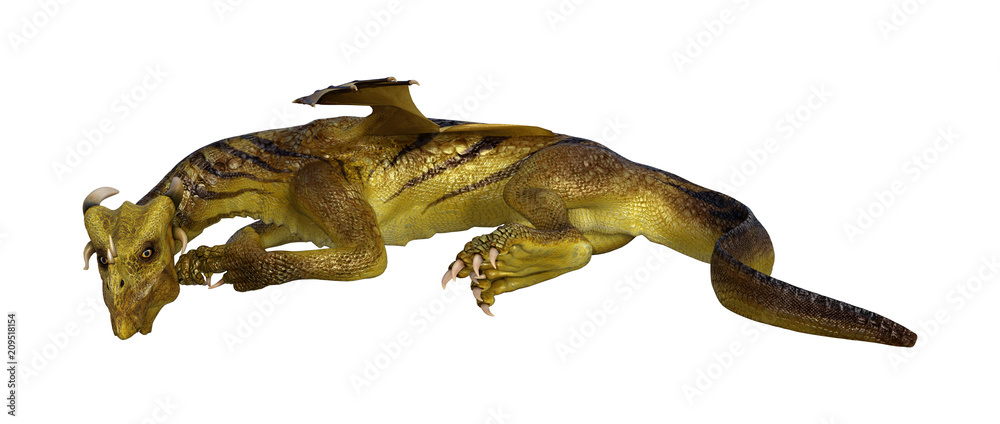 3D Rendering Fantasy Dragon on White 3D Rendering Fantasy Dragon on White
