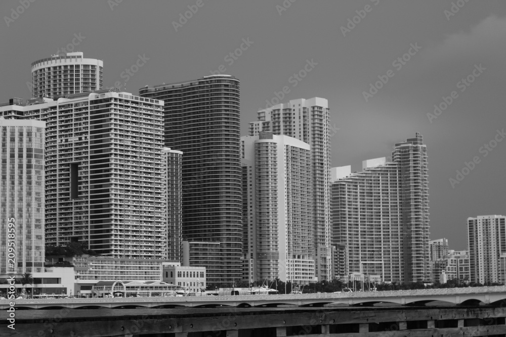 Fototapeta premium Miami Skyline