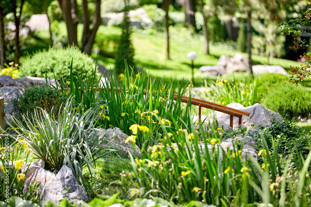 Beautiful view in the park with flowers of stones and green plants Beautiful view in the park with flowers of stones and green plants