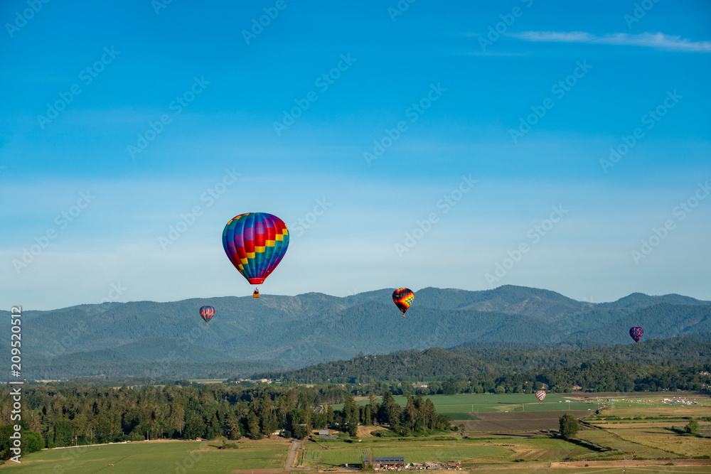 Obraz premium Hot air balloons flying over fields