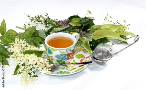 Heilkräuter Tee gegen Erkältung
