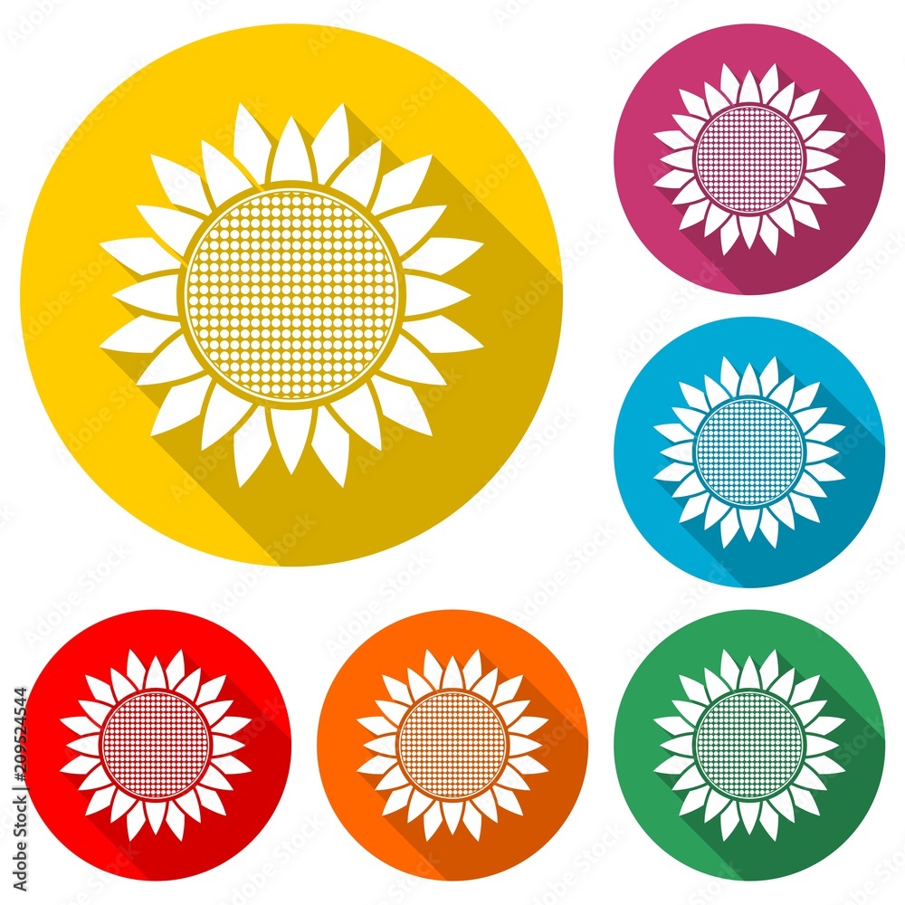 Fototapeta premium Sunflower symbol icon, color icon with long shadow