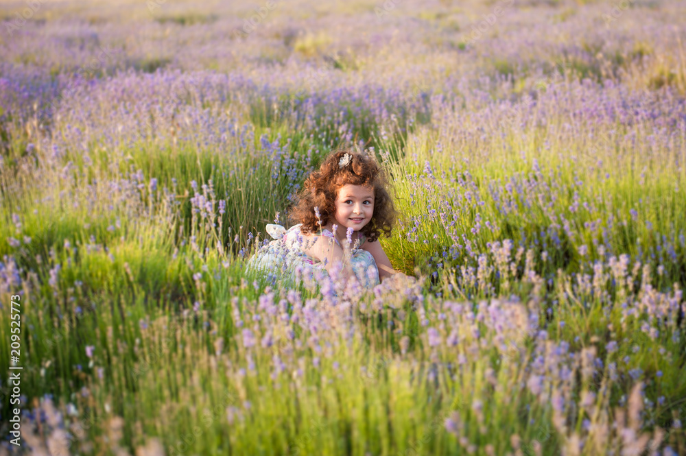 cute little girl with gorgeous hair sitting among lavender flower field summer cute little girl with gorgeous hair sitting among lavender flower field summer