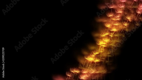 Abstract bokeh light sparkles dandelion or tampopo blow pattern yellow and pink gradient color illustration on dark background, seamless looping animation 4K with left copy space