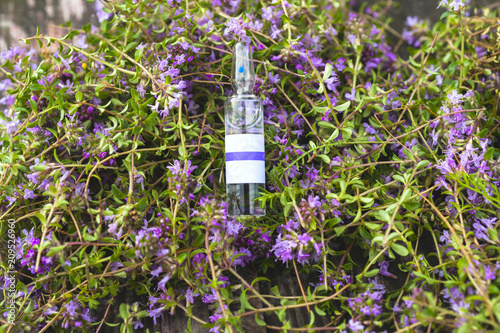 Alternative Medicine.Thyme and medical ampoules. Essential oils