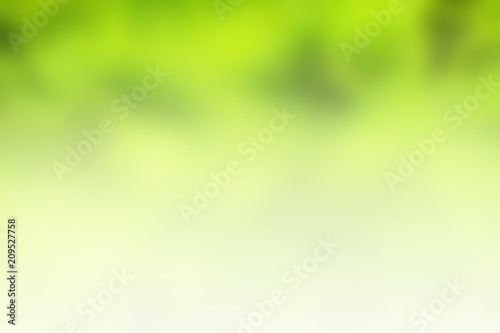 Green summer blurred abstract background