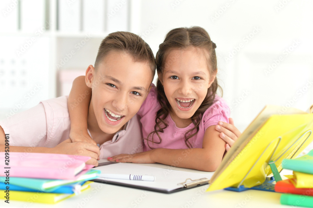Brother and sister doing homework Brother and sister doing homework