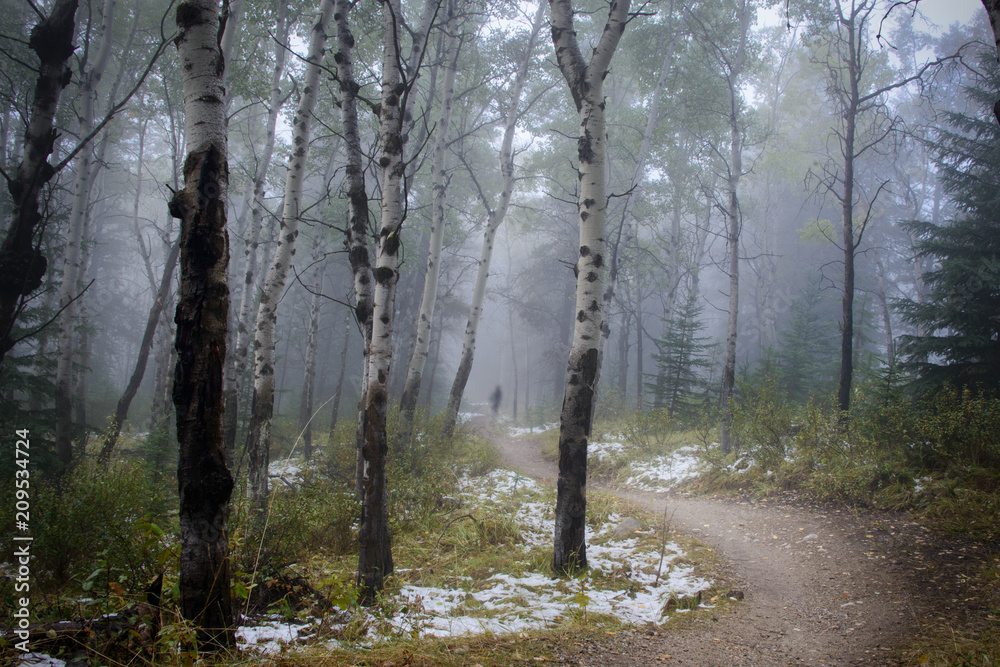 Fototapeta premium Misty morning in Jasper National Park, Canadian Rockies