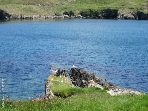 West Cork coastline photo