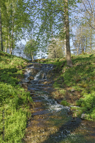 Fototapeta Naklejka Na Ścianę i Meble -  Waterfall in a deciduous forest in the summer