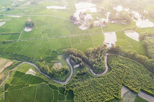 Aerial scenery of Rural paddy fields