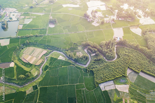 Aerial scenery of Rural paddy fields