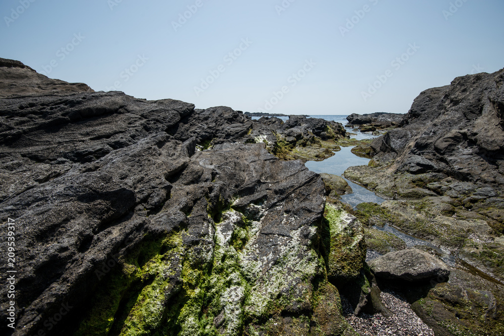 城ヶ島 岩石海岸