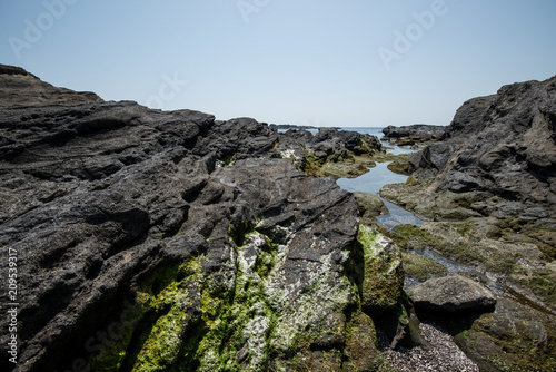 城ヶ島 岩石海岸