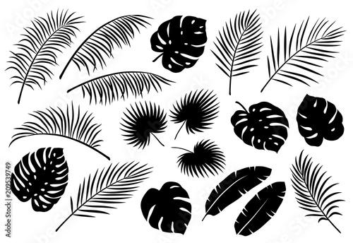 tropical palm leaves set