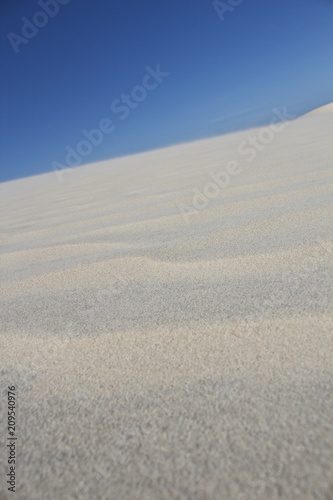 【ブラジルのビーチリゾート】ジェリコアコアラの砂丘