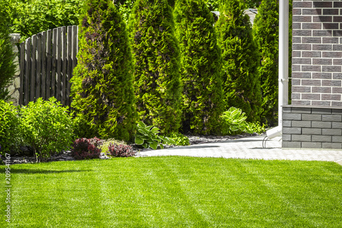 Beautiful evenly trimmed lawn in the backyard of a private house. Fototapeta
