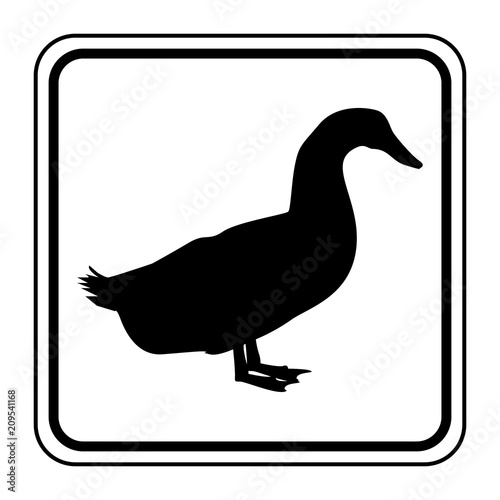 Logo canard.