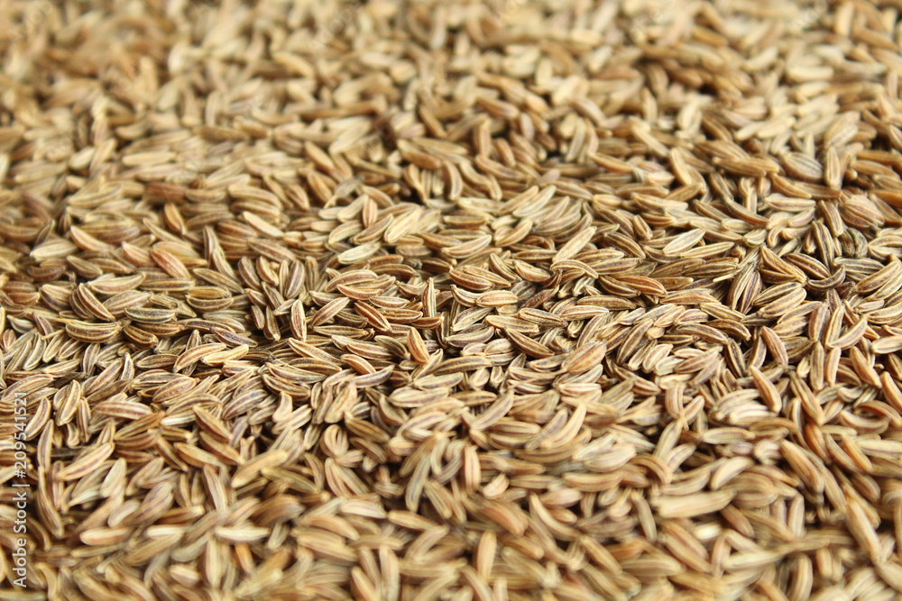 Caraway. Seeds of cumin close-up. Background.