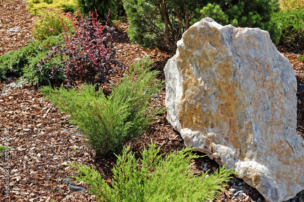 Landscape design. Bushes, rocks. Dwarf spruce. Flowers. Landscape design. Bushes, rocks. Dwarf spruce. Flowers.