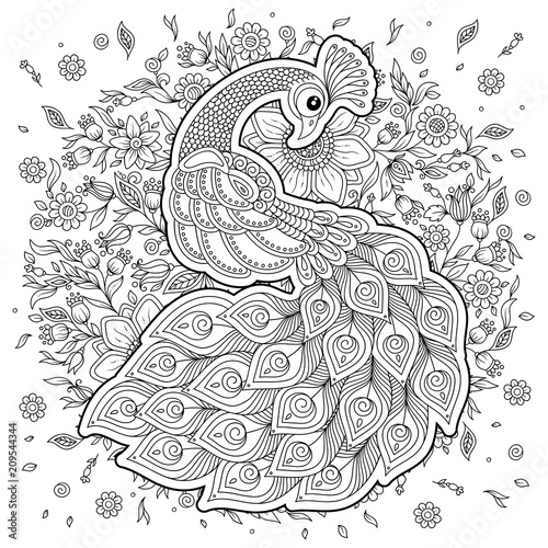 Peacock in zentangle style. Adult antistress coloring page.