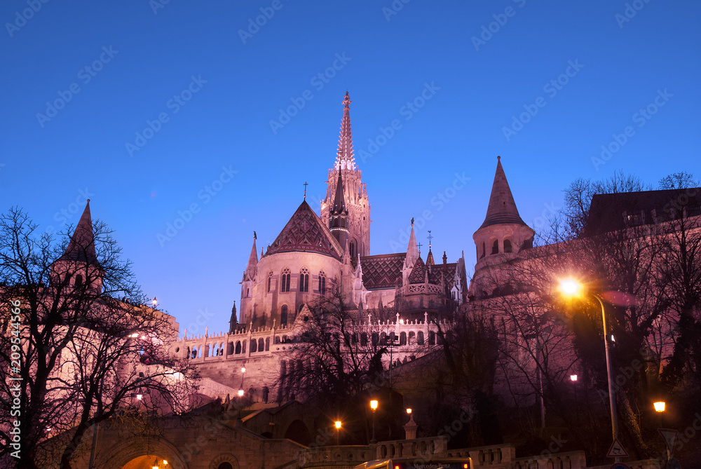 Fototapeta premium budapest