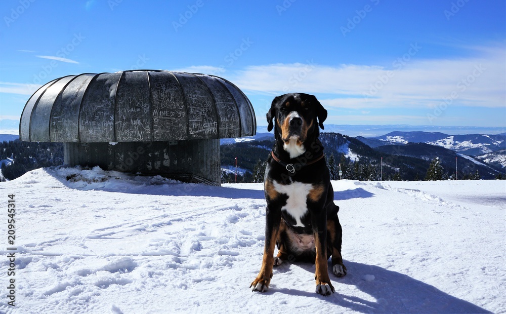 feldberg in süddeutschland im winter feldberg in süddeutschland im winter