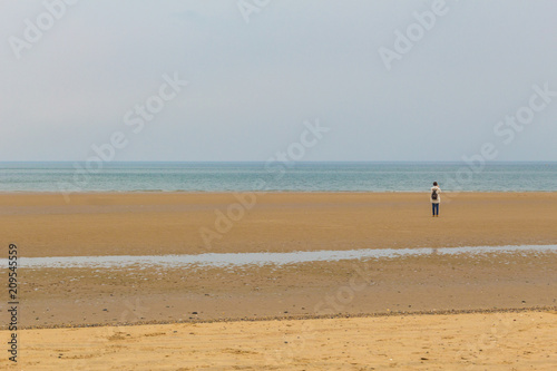 Woman walking on the beach landscape