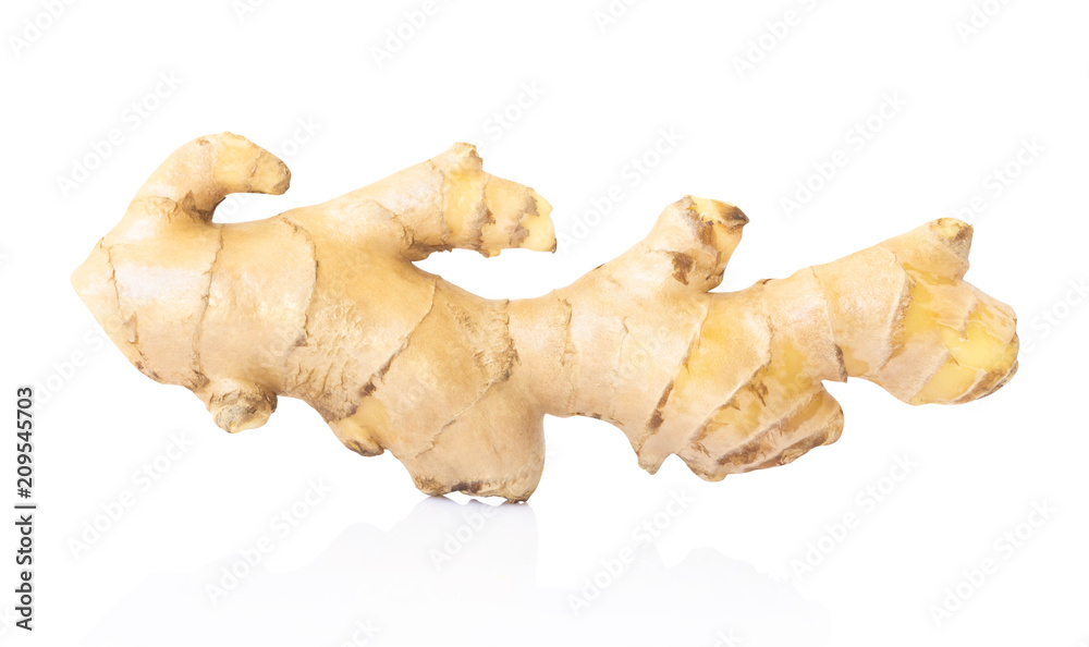 Fresh ginger root on white background for herb and medical product concept, clipping path Fresh ginger root on white background for herb and medical product concept, clipping path