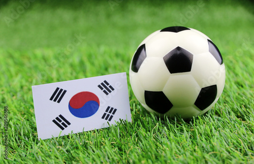 ball with South Korea flag on Green grass football 2018