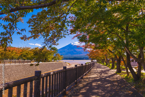 Mount Fuji which is viewed from lake Kawaguchiko in autumn