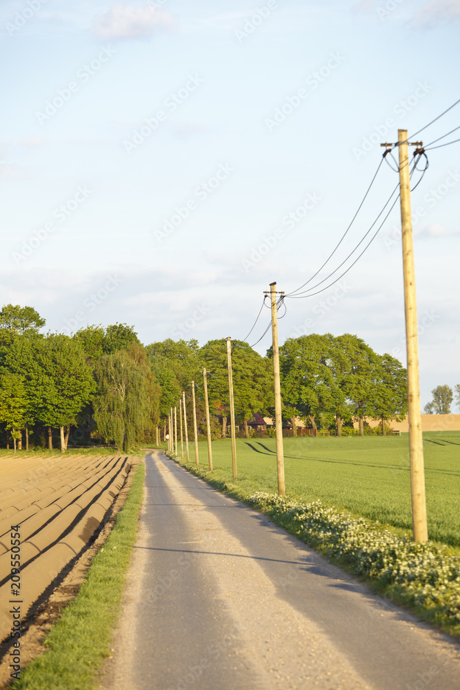 Road And Power Line In Agricultural Landscape Road And Power Line In Agricultural Landscape