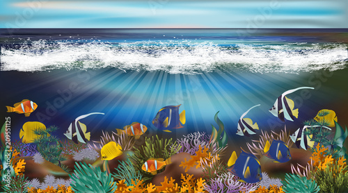 Fototapeta Naklejka Na Ścianę i Meble -  Underwater wallpaper with tropical fish, vector illustration 