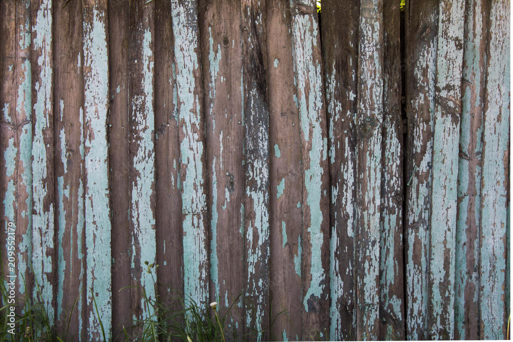 Fototapeta premium old wood texture