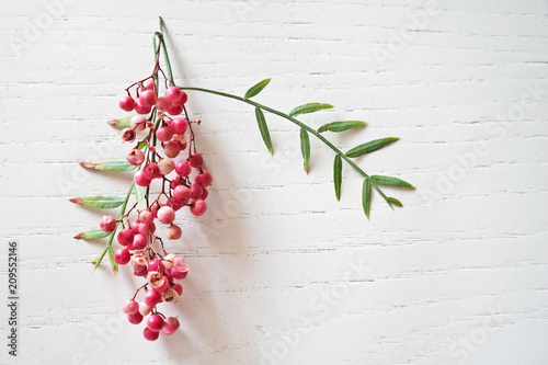 Fresh pink peppercorns with leaves