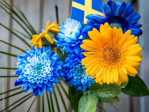 Yellow and blue flowers is the Swedish colors. Top view from above.
