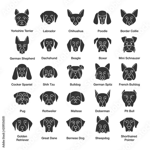 Dogs breeds glyph icons set