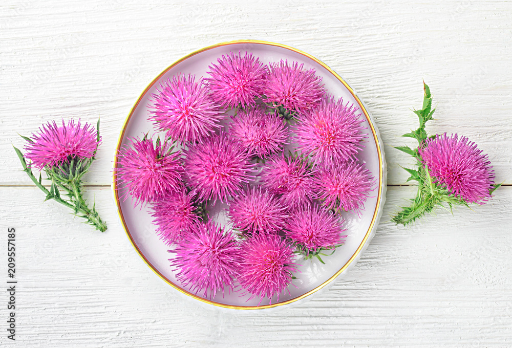 custom made wallpaper toronto digitalMilk thistle