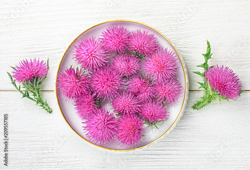 Milk thistle photo