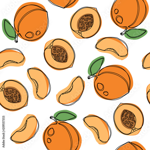 Peaches and apricots hand draw vector seamless pattern.