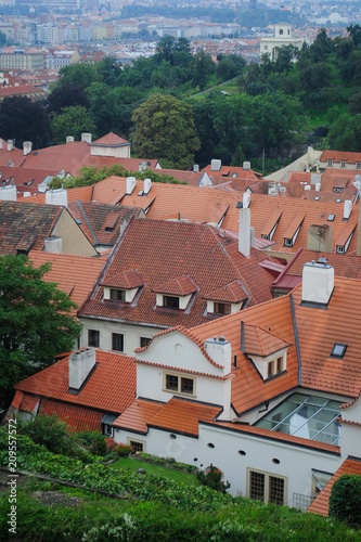 Urban landscape whith orange roofs of Prague © Anton