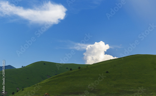 Hills covered with green gr...